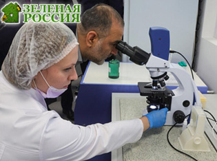 ������ ���������� ���������� �������������� ��������� ������� ������ � ����