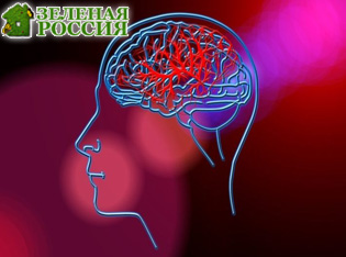 ������������ ������������� ���������� �������� ���� �������� ���� � ������� ����� � ������������