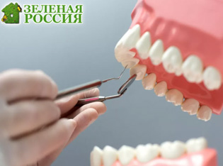 ������ �������� ����� �������� ������� ����: �������� ������ ������������ ����������