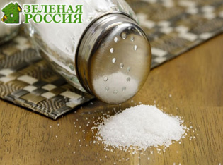 ������ ��������, ��� ���� ���������� ���: ������� ��������, � ��������� ������ ������� �� ������ �����