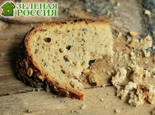 Учёные научились получать водород из хлебных крошек — это может заменить ископаемое топливо Учёные научились получать водород из хлебных крошек — это может заменить ископаемое топливо