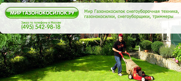 Поражение древесины жуком-короедом