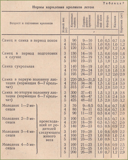 Нормы кормления кроликов летом