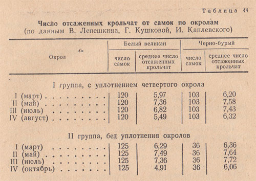      ( 2)