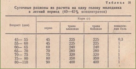 Особенности кормления крольчат