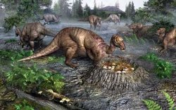 В Мэриленде обнаружены ископаемые новорожденного динозавра