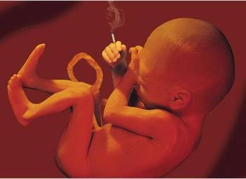 Курение при беременности влияет на гормоны стресса у плода