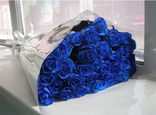 Купить синие розы в Минске