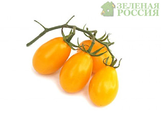 Необычные томаты: зеленые, оранжевые, желтые