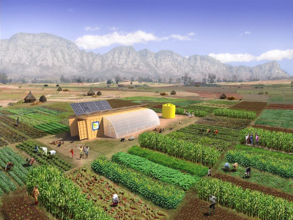 Ферма из контейнера для устойчивого сельского хозяйства