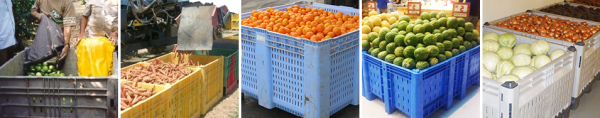 Пластиковый контейнер для хранения фруктов от фирмы «Dolav»